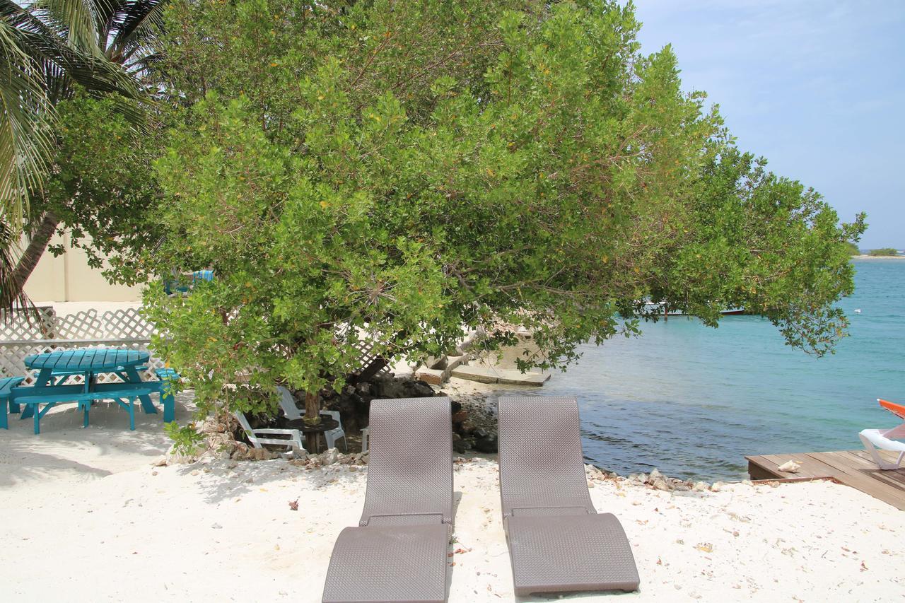 Coral Reef Beach Savaneta Dış mekan fotoğraf
