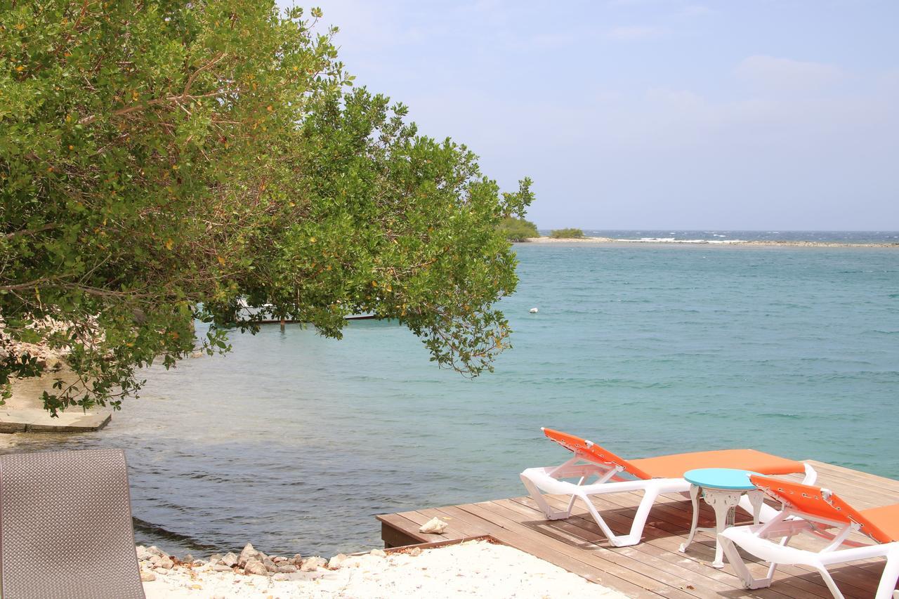 Coral Reef Beach Savaneta Dış mekan fotoğraf