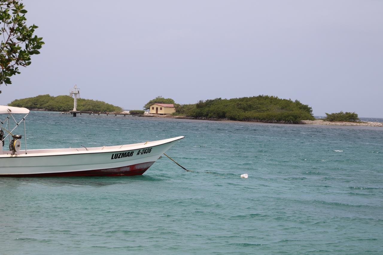 Coral Reef Beach Savaneta Dış mekan fotoğraf